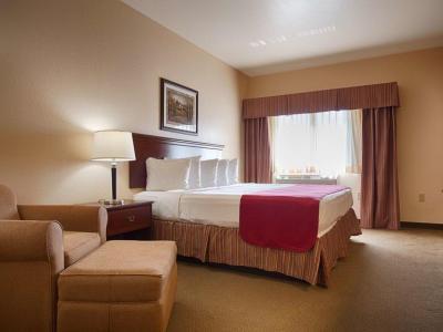Western El-quartelejo Inn&suites 3* Scott City